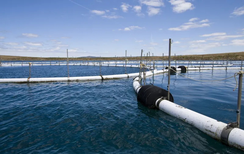  Application of HDPE Pipes in Aquaculture