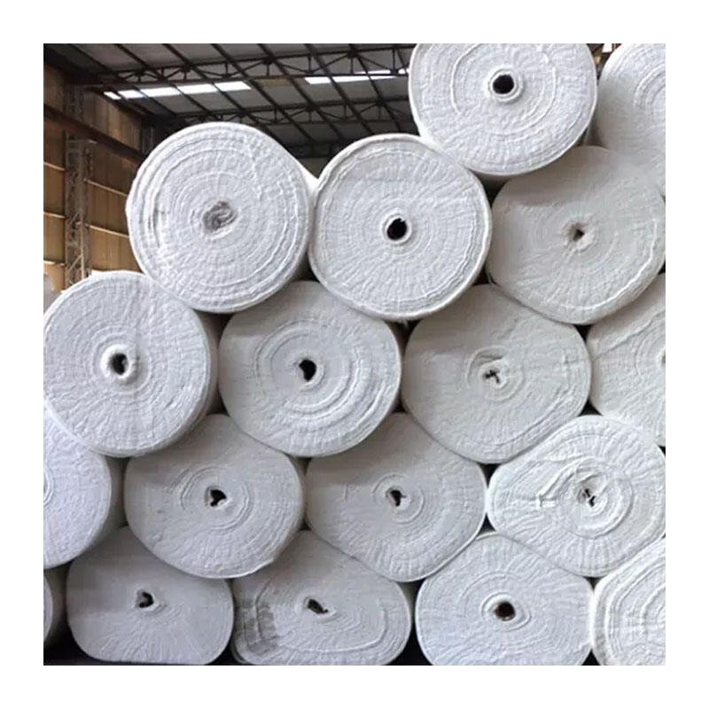 Ympäristön kestävyys ja ekosysteemien integraatio