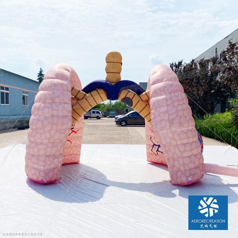 Giant Inflatable Medical Lung Model