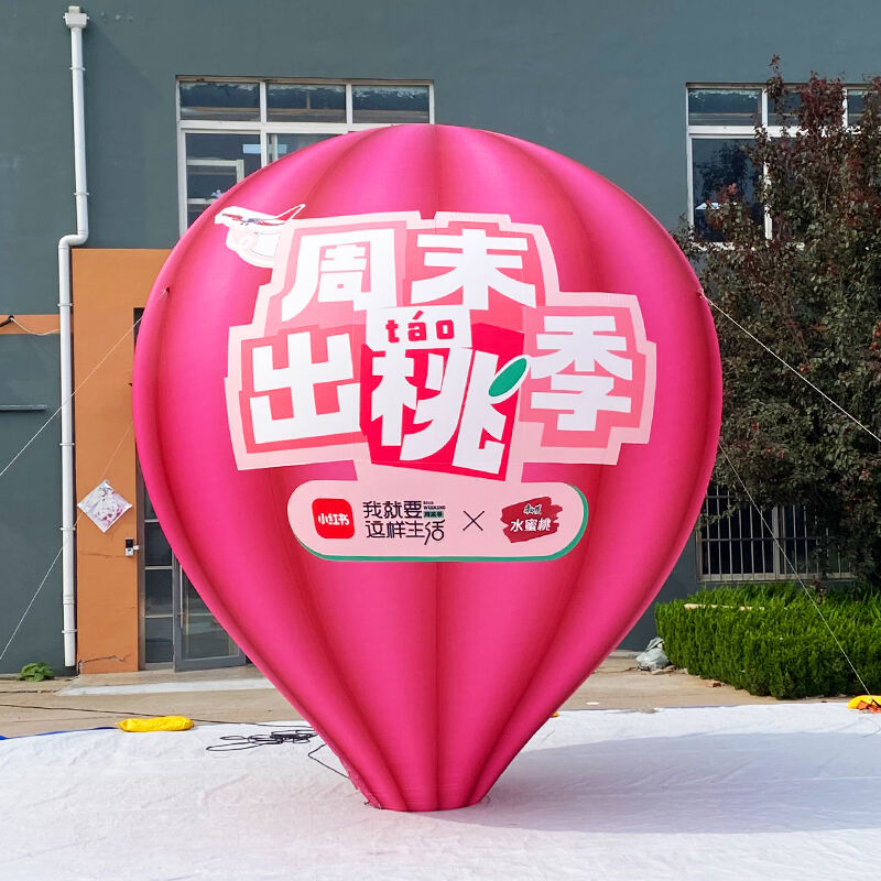 Inflatable pink hot air Balloon