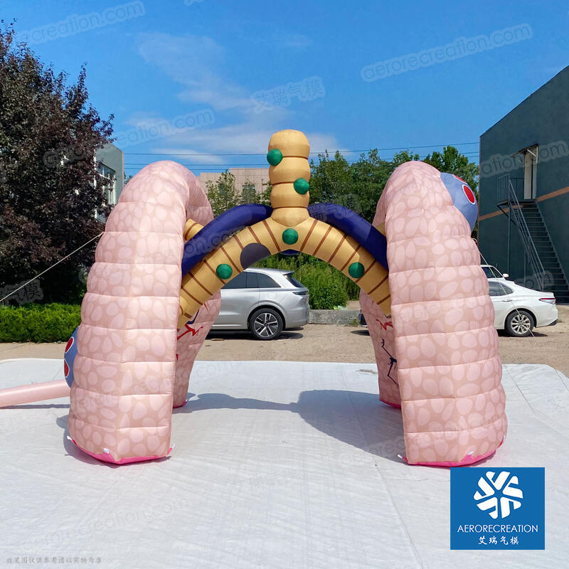 Giant Inflatable Medical Lung Model