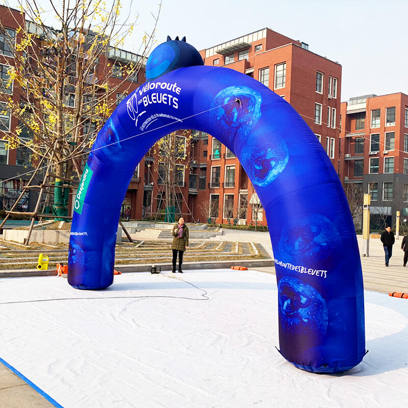 Inflatable blueberry theme Round Arch