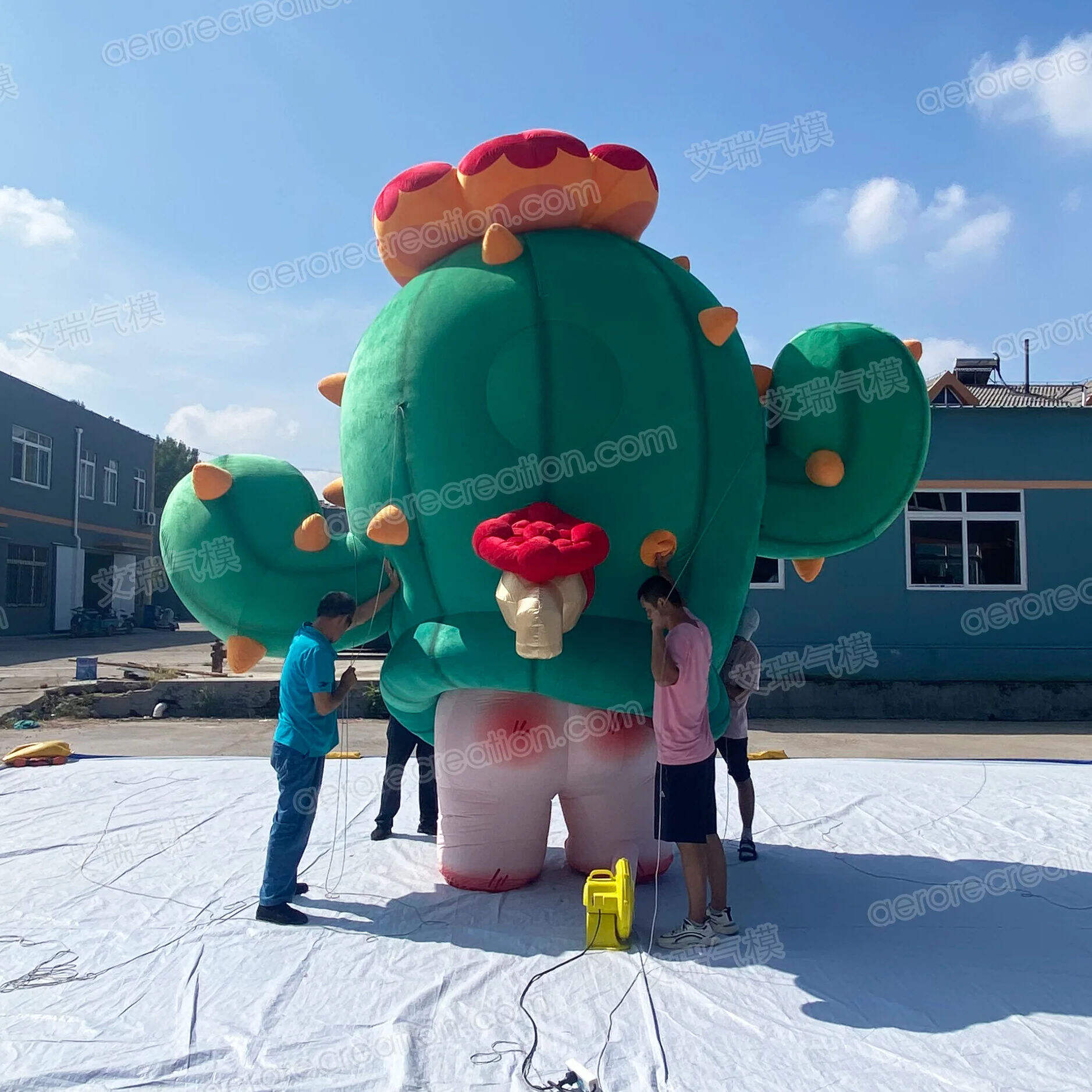 Super Cute Customized Inflatable Cactus Model