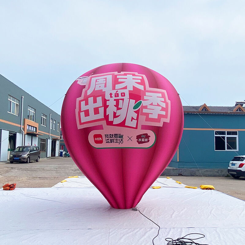 Inflatable pink hot air Balloon