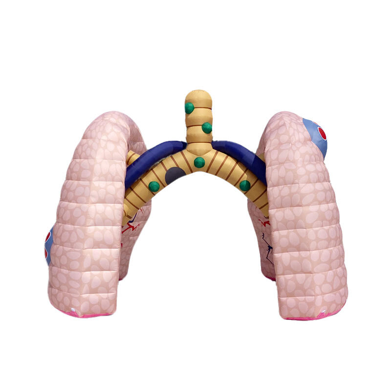 Giant Inflatable Medical Lung Model