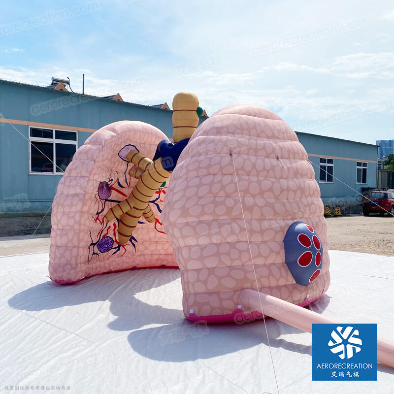 Giant Inflatable Medical Lung Model