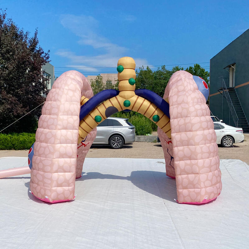 Giant Inflatable Medical Lung Model