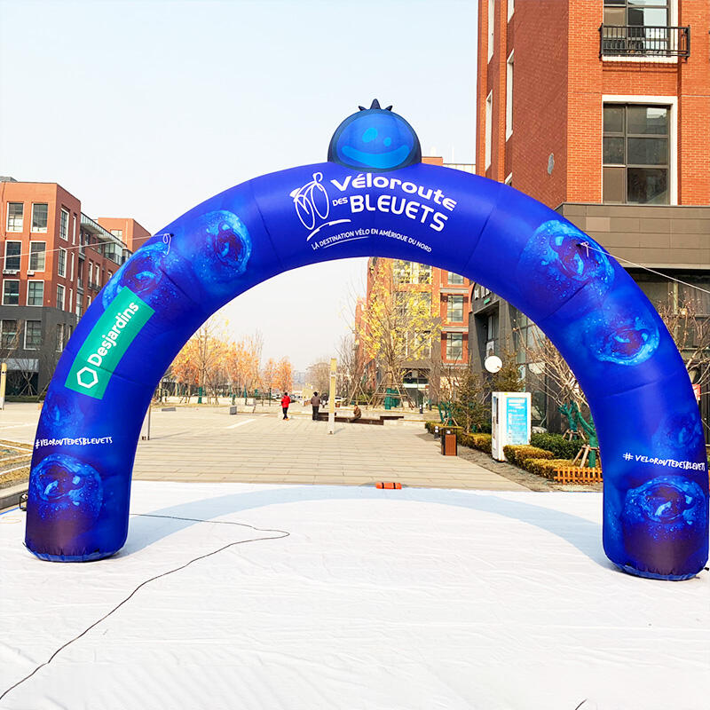 Inflatable blueberry theme Round Arch