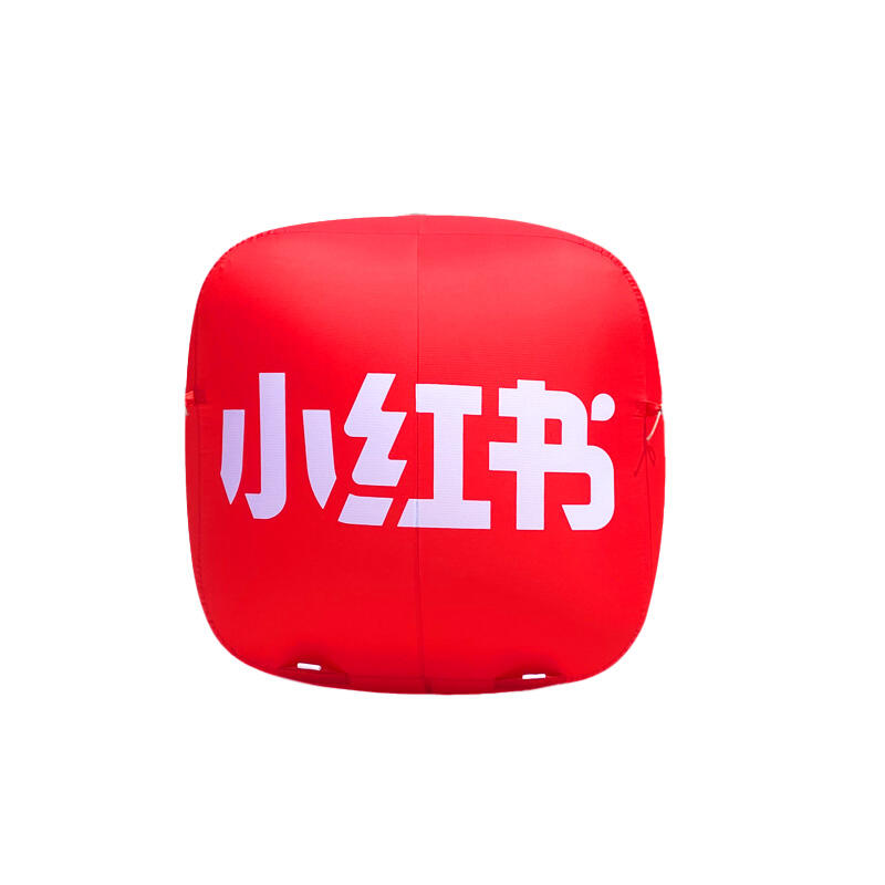 Brand Promotional Inflatable Wall Decoration