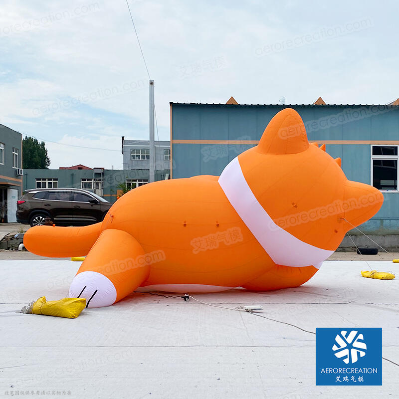 Inflatable Cute Lying Cartoon Cat