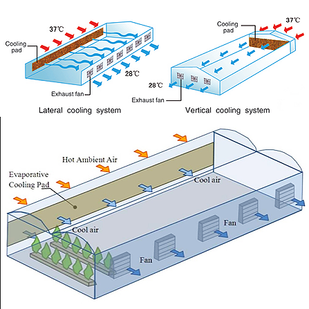 Exhaust fan and Cooling pad