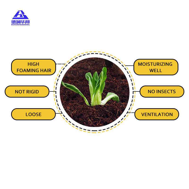 Low Salt Coco Brick For Succulents And Orchids