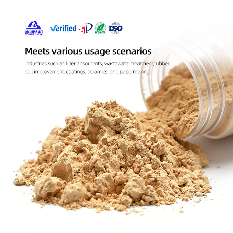 Diatomite – The Largest Functional Porous Mineral Material