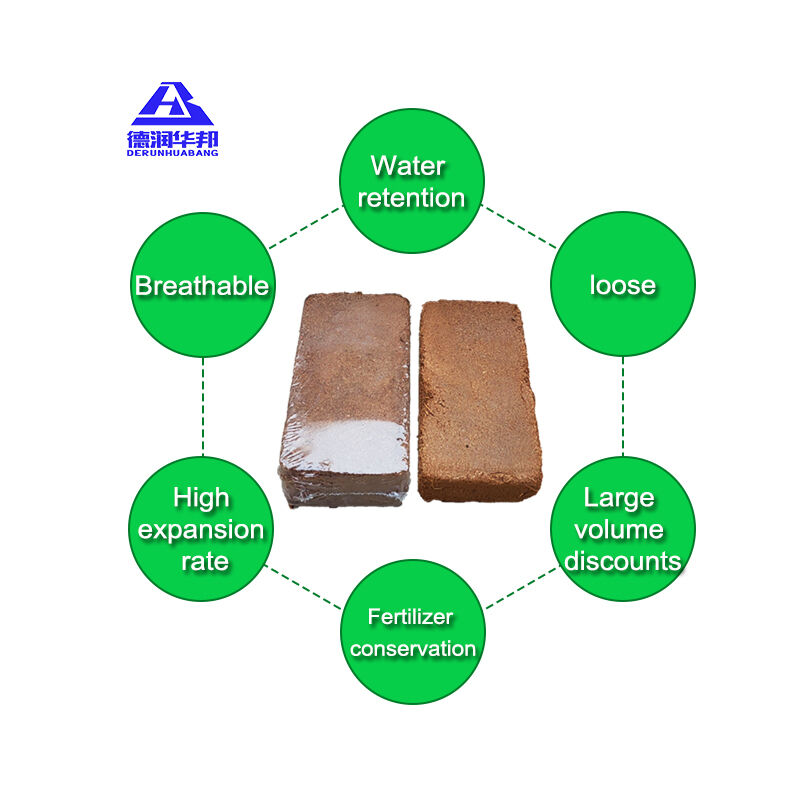 Low Salt Coco Brick For Succulents And Orchids