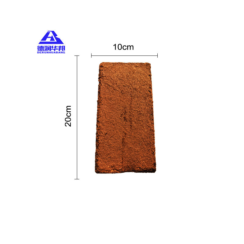 لبنة جوز الهند (الكокоبيت) عالية التوسّع لاستخدامها في حدائق النباتات المزروعة في الأصص