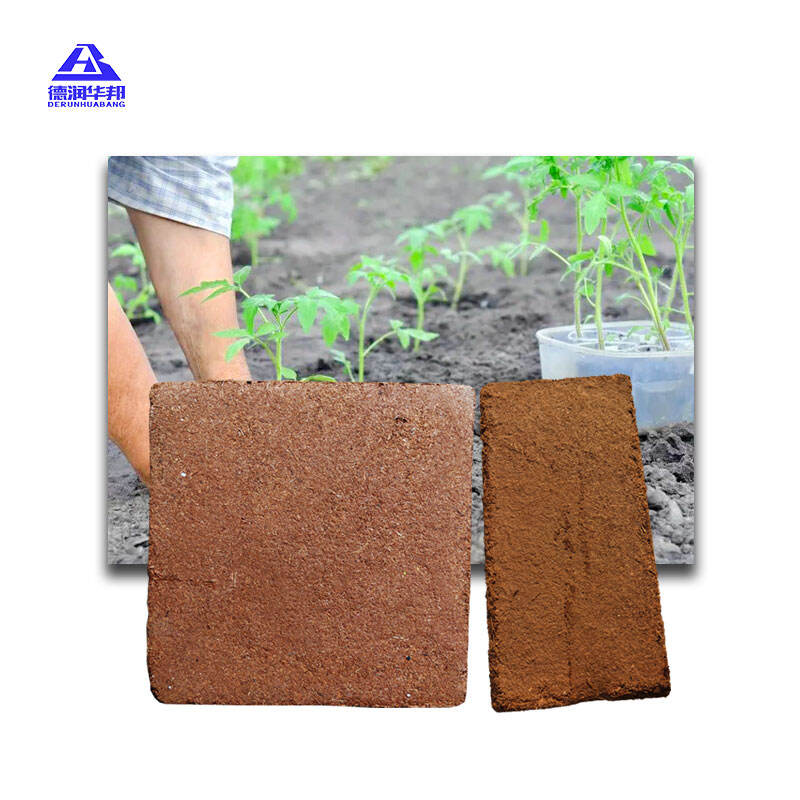 Eco Friendly Compressed Coconut Fiber Bricks For Commercial Event Decor Retail Store Displays And Brand Activation Backdrops Supporting Sustainable Event Design Needs
