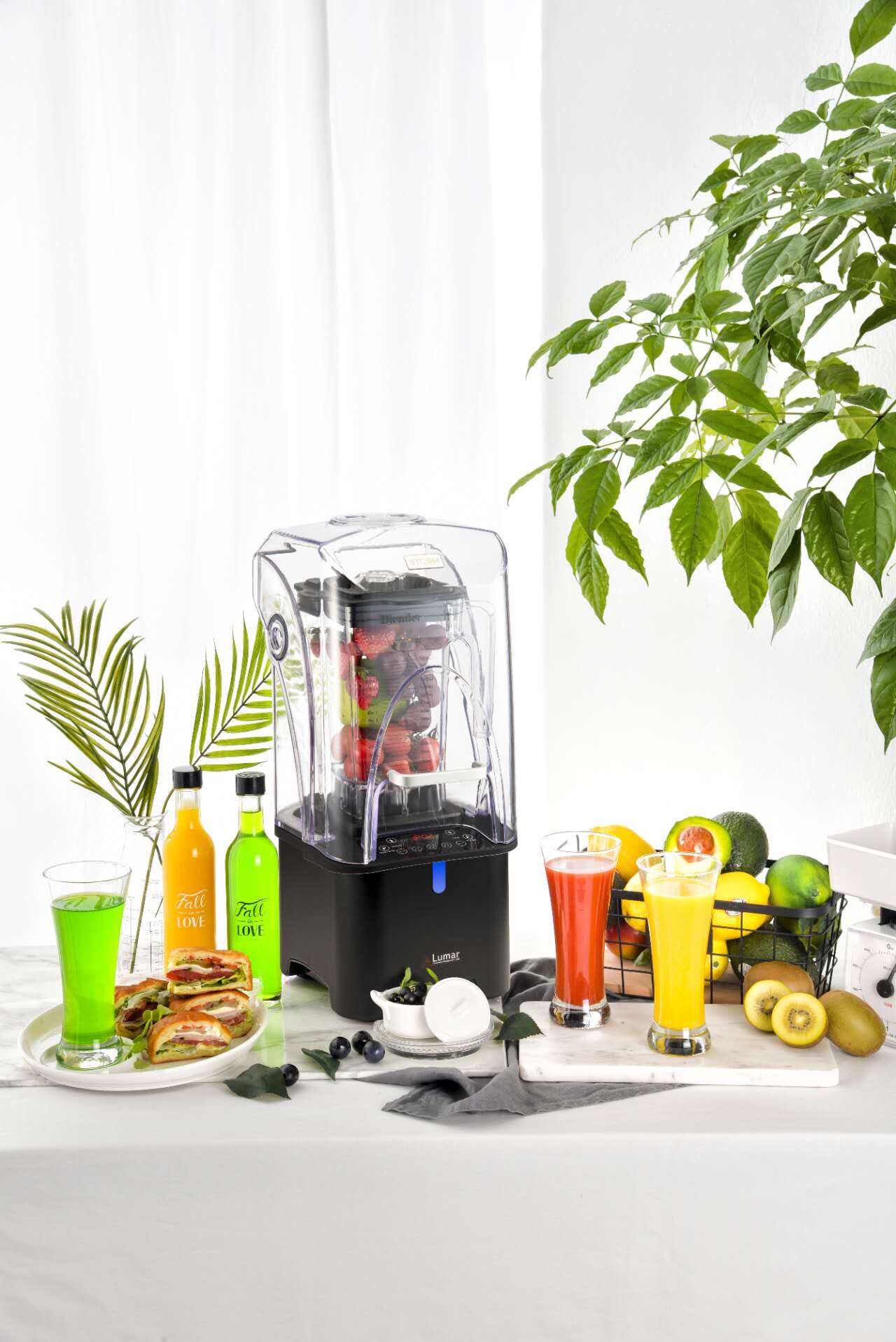 Comprehensive Support and Customization Services