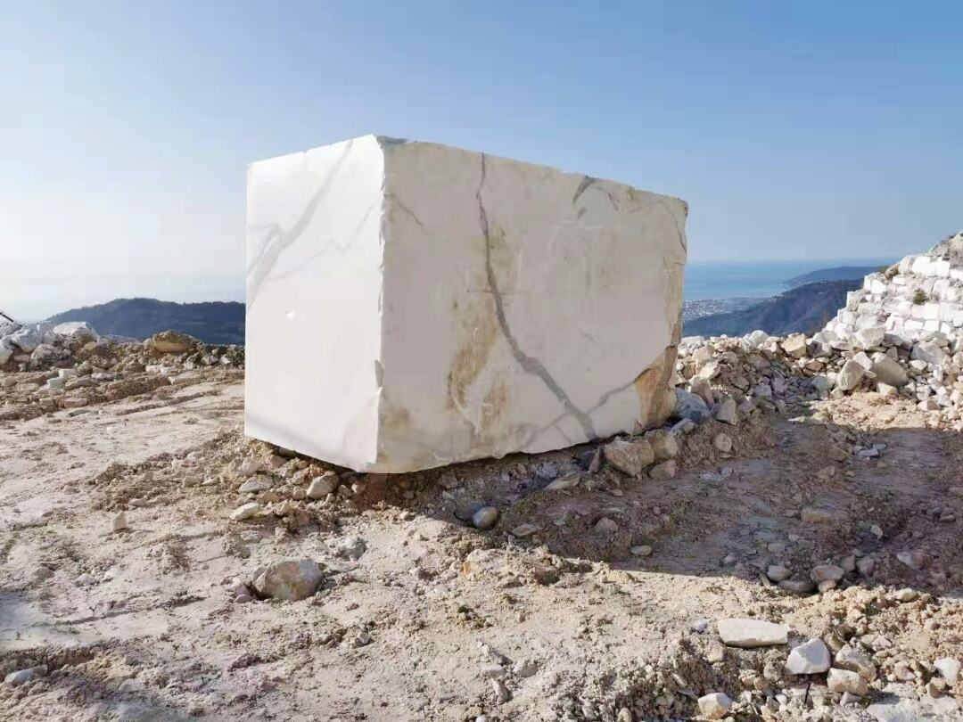 Παγκόσμια Δόξα και Αναγνώριση Μάρκας