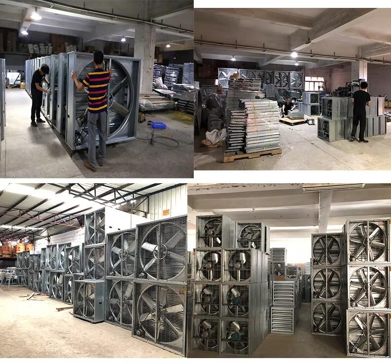Big Size Metal  48 50 Inch Heavy Hammer Exhaust Fan Poultry Farm air Axial Fan Ventilation manufacture
