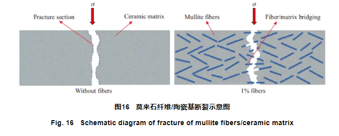 图片1(2).png