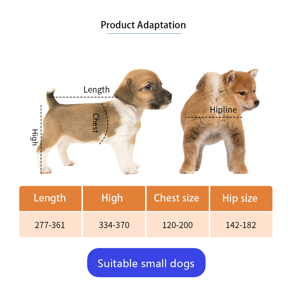 6(9db937448f).png