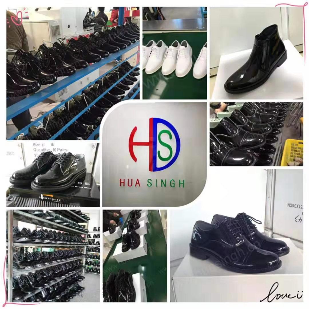 ,HSA130,HSA074,HSA029