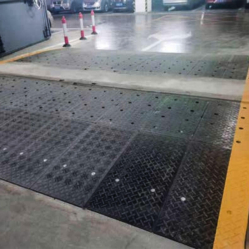 Customization and Technical Support