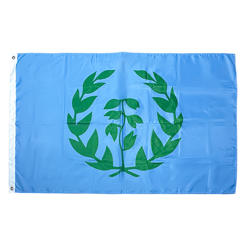 Produsenter Egendesign 3x5 fot Enkelt Dobbeltsidig Utendørsflagg Ethvert Design Utendørsflygende Flag