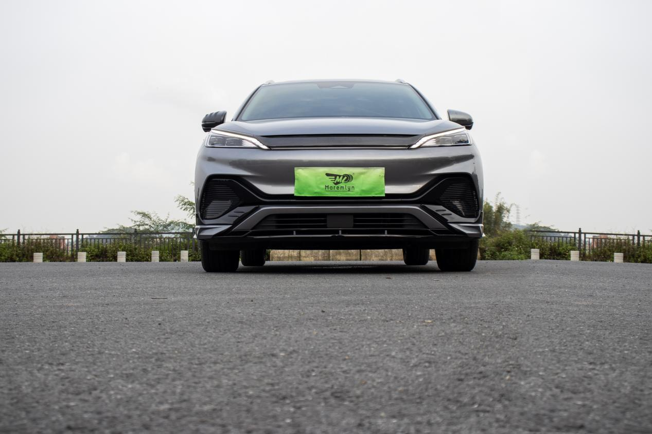 BYD's seven overseas markets to dominate in the first half of 2025