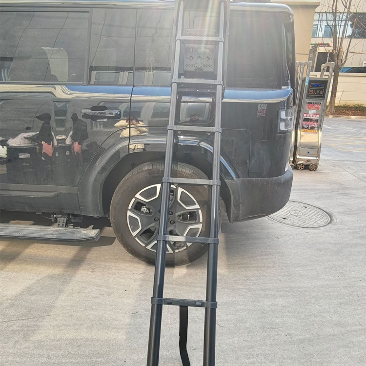 Where to Buy High-Quality BYD Leopard 5 Side Ladders at Competitive Prices