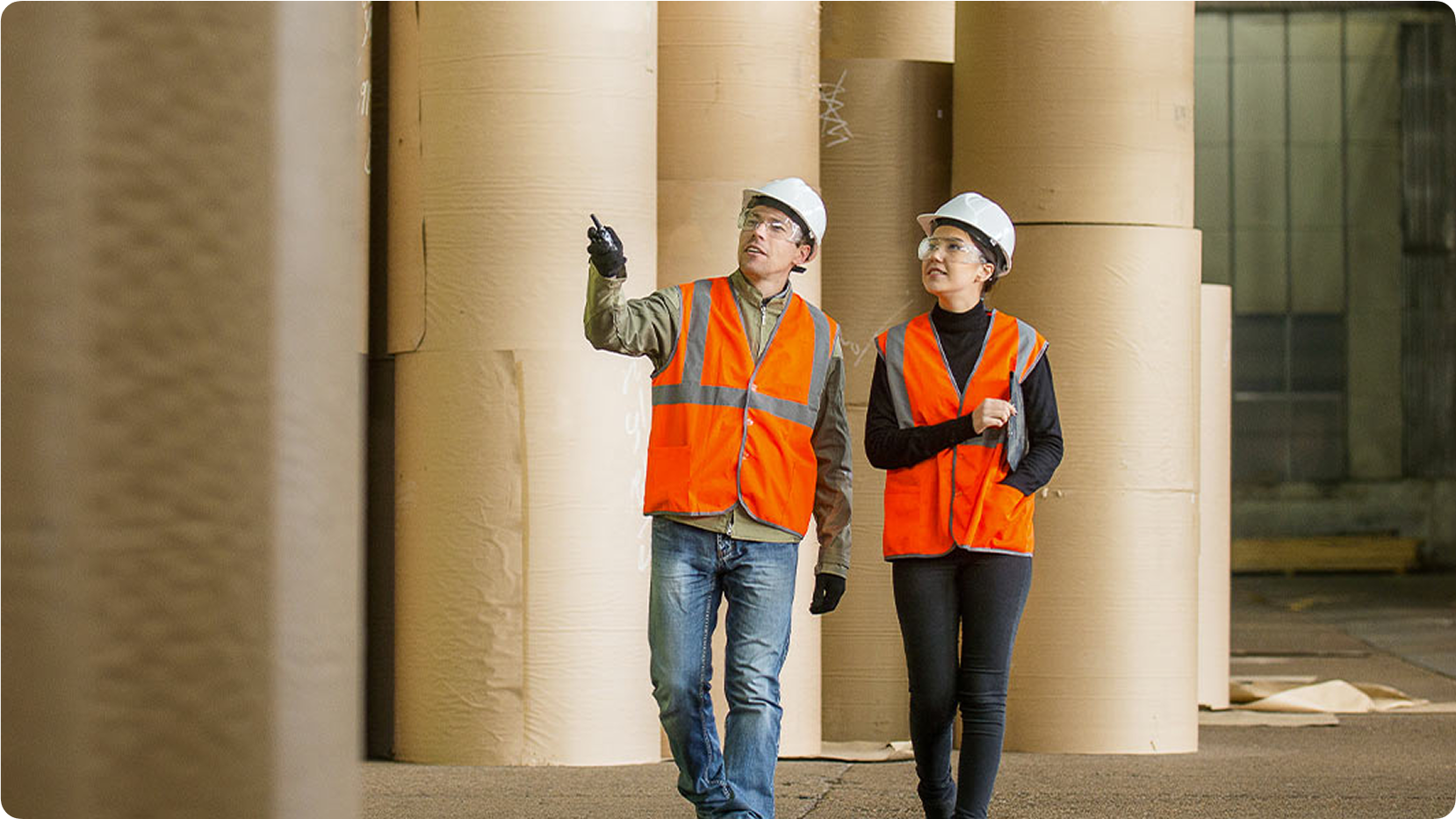 Nossas ações de política ambiental incluem: