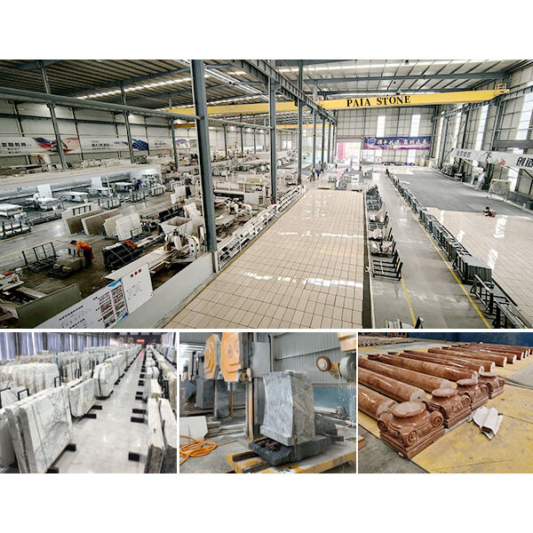 Xiamen Paia Import & Export Co., Ltd