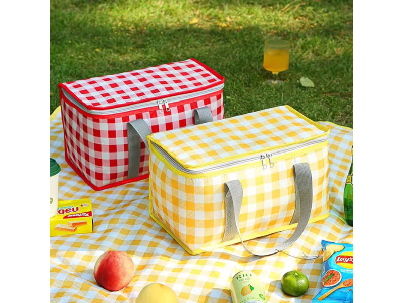 Why You Need a Collapsible Cooler Bag?