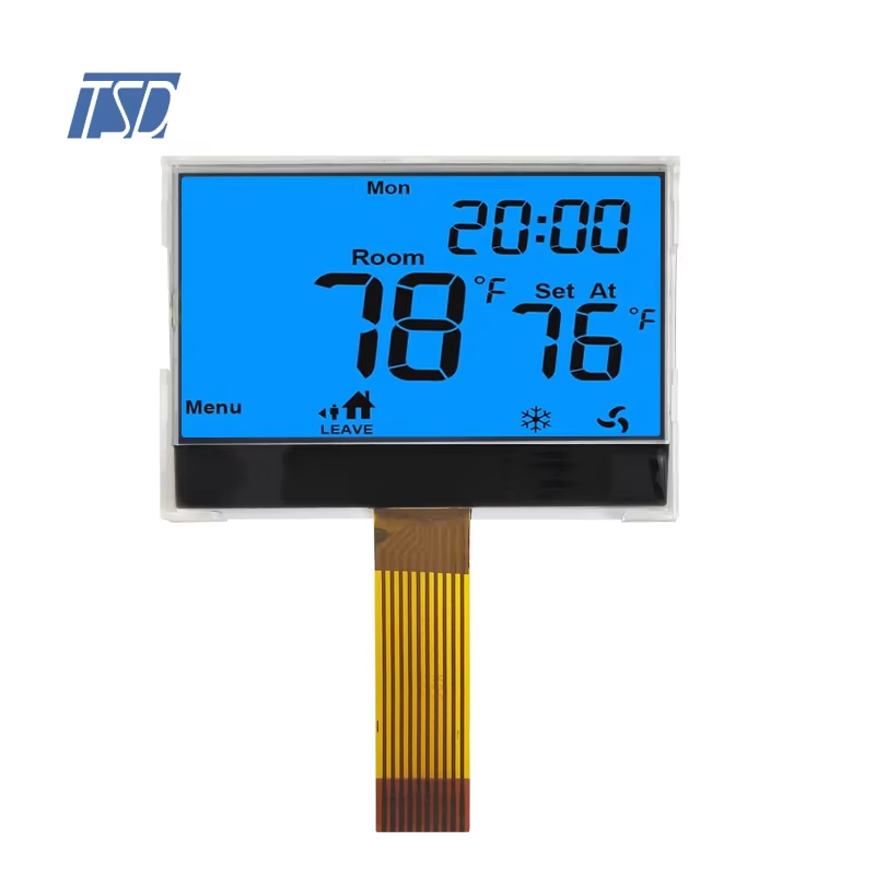 How to Choose the Right LCD Module for Your Application Needs?