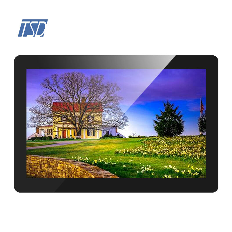 10.1 inch 1280*800 HDMI board USB interface CTP IPS Screen LVDS TFT LCD Display Modules