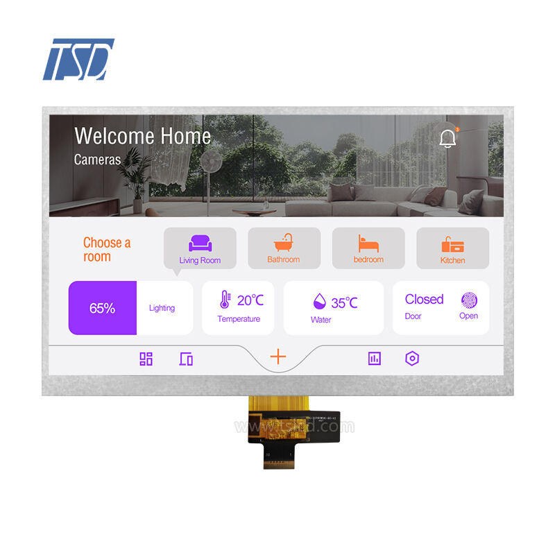 TSD 10.1'' 10.1 Inch MIPI Interface 1000nits High Brightness 1024x600 Resolution IPS TFT LCD Display