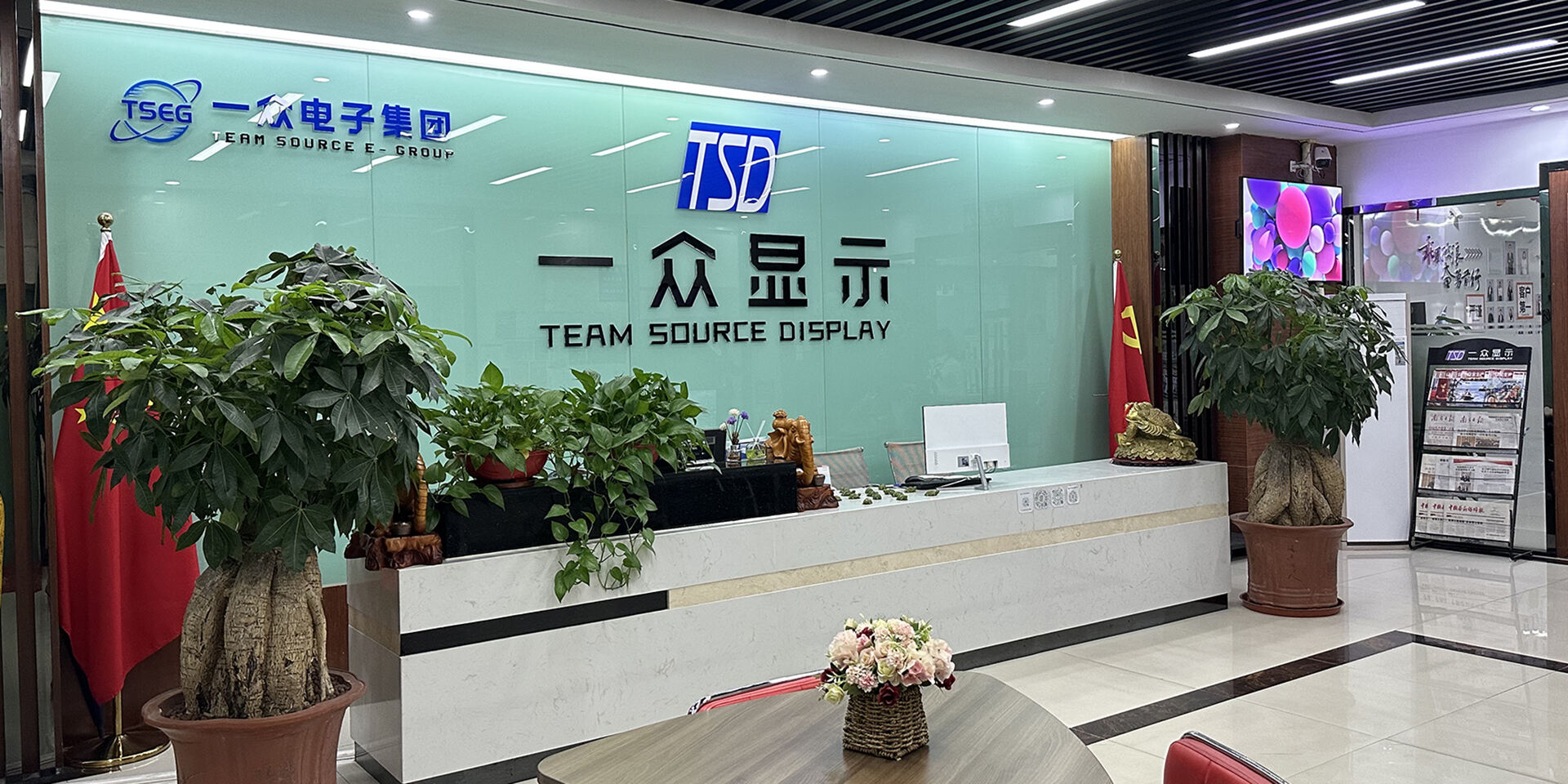 Dongguan Team Source Display Technology Co., Ltd.