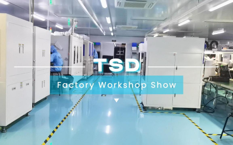 TSD-Workshopvideo