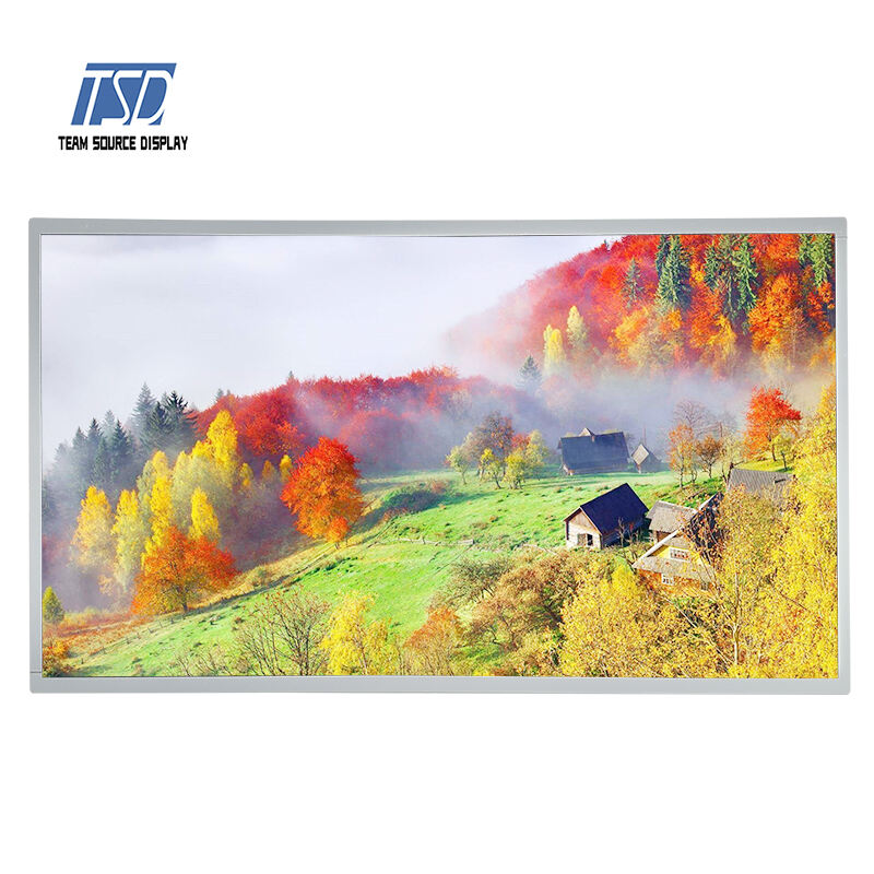 TSD 21.5'' 21.5 Inch 1920xRGBx1080 Resolution FHD LVDS Interface IPS TFT LCD Display Module