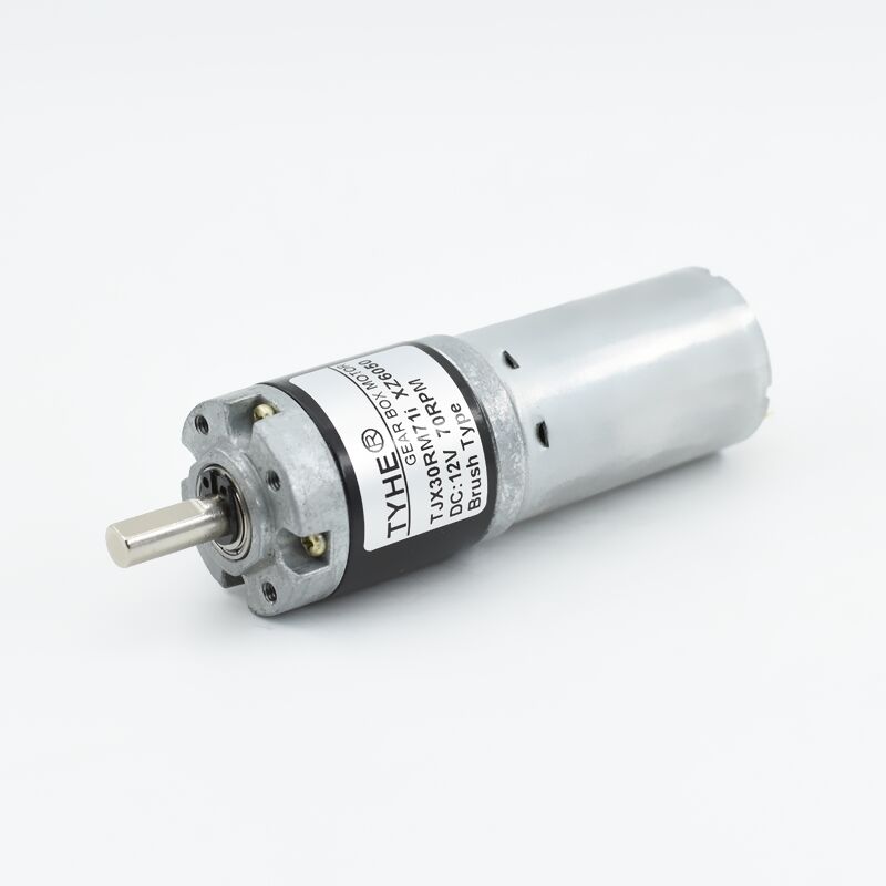 Manufacturer Gearbox 30mm 12V 24V 6V 10kg 30kgcm 3 Watt 5w 10w 20RPM Micro Brushed DC Planetary Gear Motor with CE ROHS