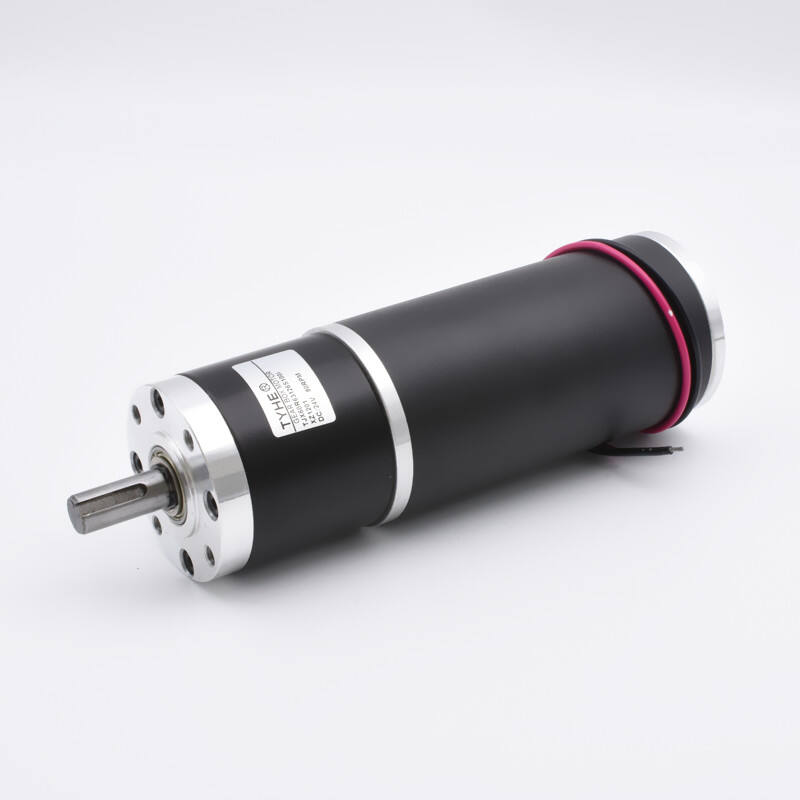 TYHE High power 60GX 12 volt 24 volt 24v 5 rpm 20rpm high torque 50nm 500kgcm 250 watt 200w brushed dc planetary gear motor ce