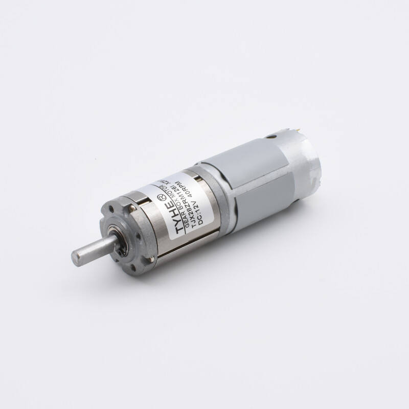 Manufacturer 28mm gear box 12v 6v 24v 300rpm 250rpm 100rpm low speed high torque 5w 6w 7w 1nm 5nm 10kg dc planetary gear motor