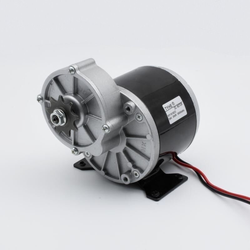 TYHE Manufacturer MY1016Z2 24V 50kg cm 250W 300RPM 9.78 Gear Ratio High Torque Brushed DC Gear Motor