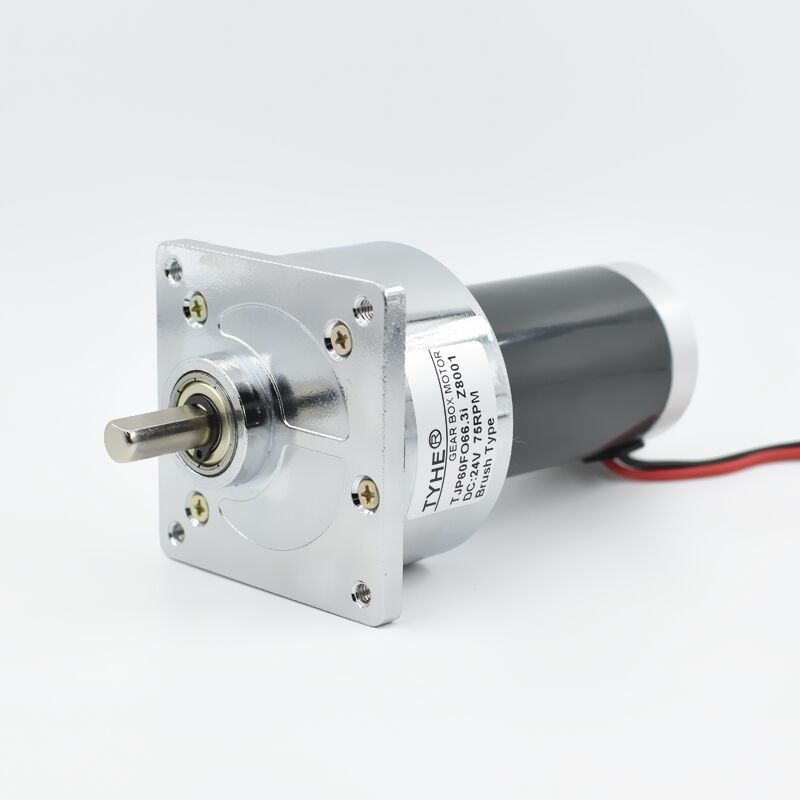 TJP60FO | DC Sprote Motoru |