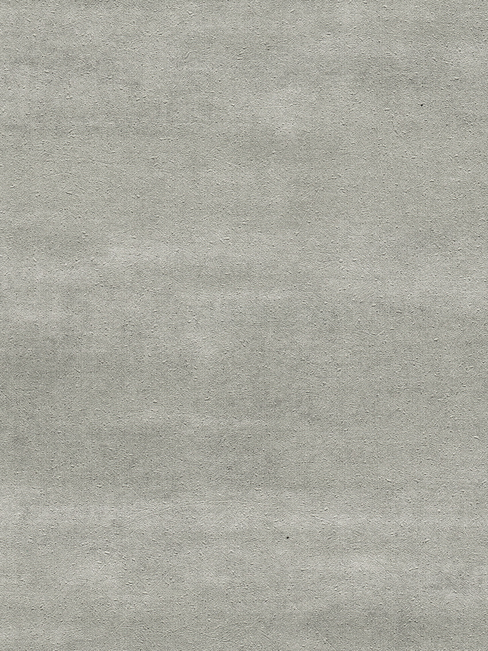 VWC5-049-055 CONCRETA - WALLCOVERINGS