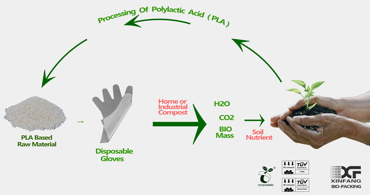 Compostable Discription.jpg