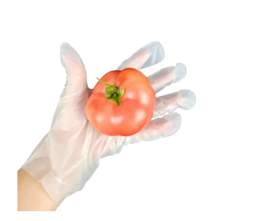 How to Dispose of Biodegradable Gloves Properly