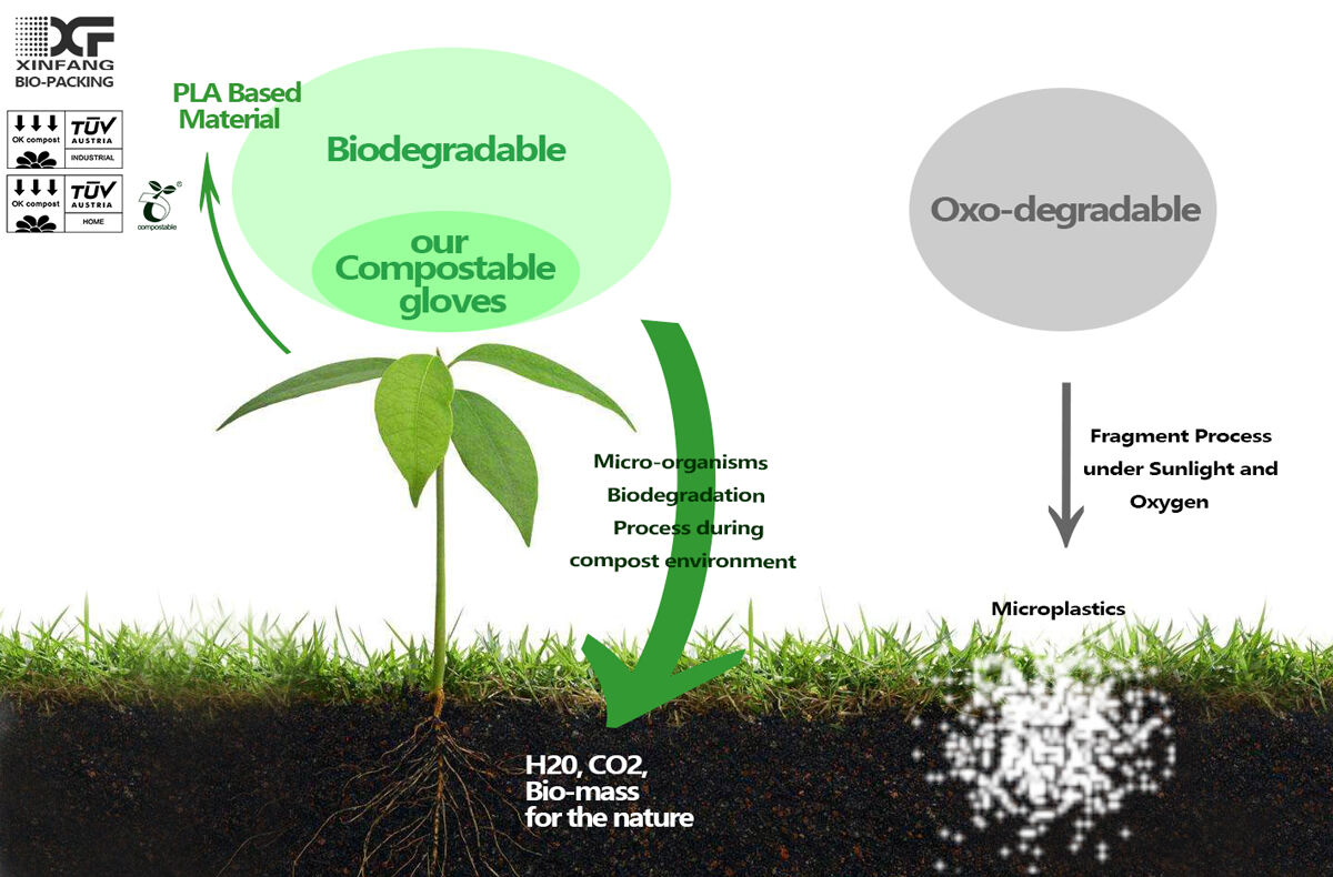 compostable-vs-oxo1.jpg