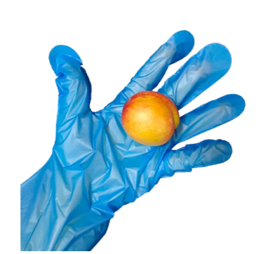 Understanding the Advantages of compostable Gloves