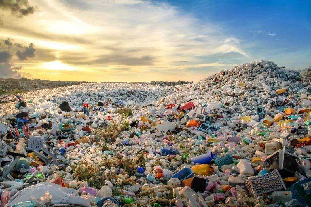 New Zealand aims to phase out more single-use plastic.jpg